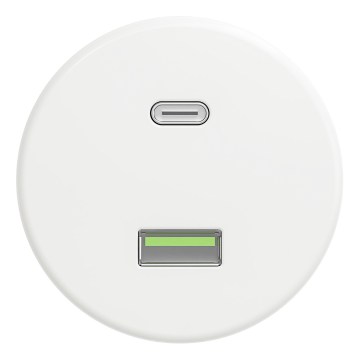 Kliklap - Retro USB-pistikupesa A+C raamita lumivalge