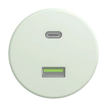 Kliklap - retro USB-pistikupesa A+C, raamita, piparmündiroheline