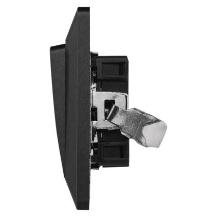 Kodulüliti sisselülitatav 250V/10A antratsiit