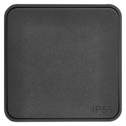 Kodulüliti sisselülitatav 250V/10A IP55