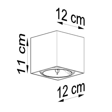 Kohtvalgusti BLAKE 1xGU10/40W/230V