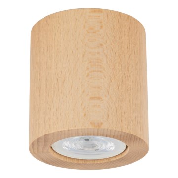 Kohtvalgusti EVE 1xGU10/10W/230V pöök