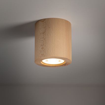 Kohtvalgusti EVE 1xGU10/10W/230V pöök