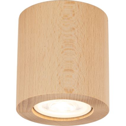 Kohtvalgusti EVE 1xGU10/10W/230V pöök