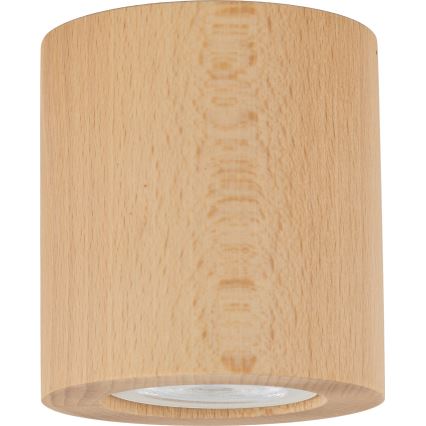 Kohtvalgusti EVE 1xGU10/10W/230V pöök