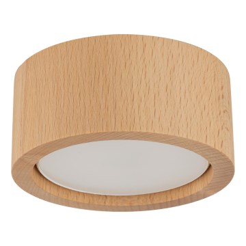 Kohtvalgusti EVE 1xGX53/11W/230V pöök