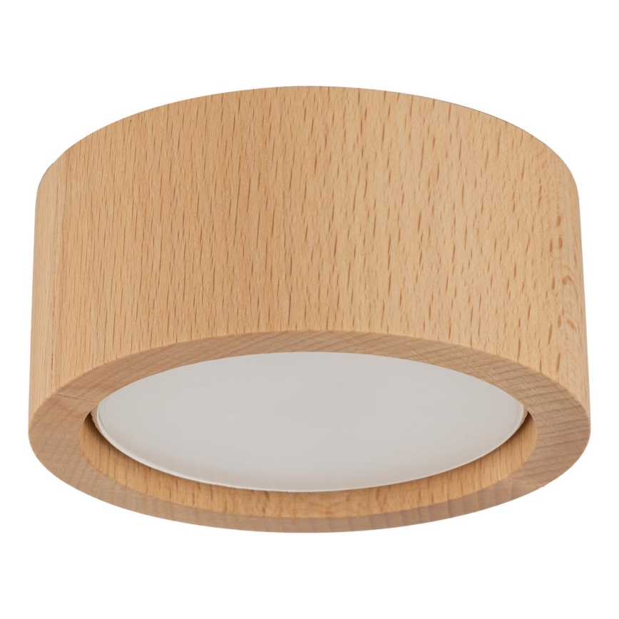 Kohtvalgusti EVE 1xGX53/11W/230V pöök