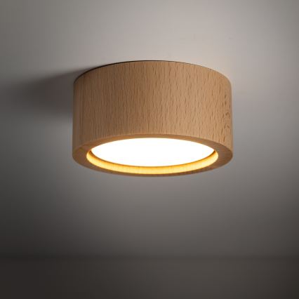 Kohtvalgusti EVE 1xGX53/11W/230V pöök