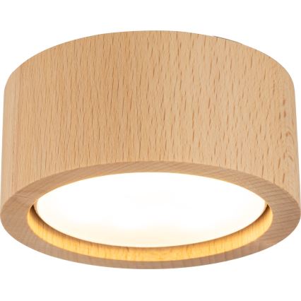 Kohtvalgusti EVE 1xGX53/11W/230V pöök