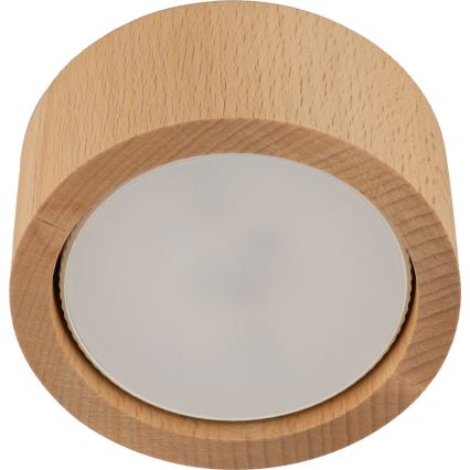 Kohtvalgusti EVE 1xGX53/11W/230V pöök