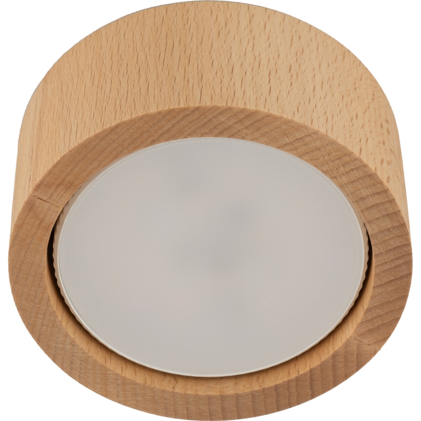 Kohtvalgusti EVE 1xGX53/11W/230V pöök