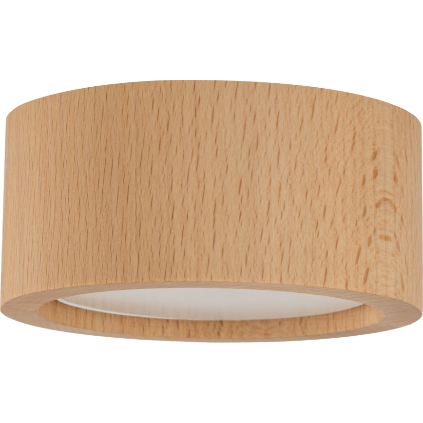 Kohtvalgusti EVE 1xGX53/11W/230V pöök