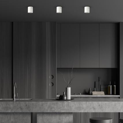 Kohtvalgusti GEORGE 1xE27/60W/230V d. 13,7 cm valge