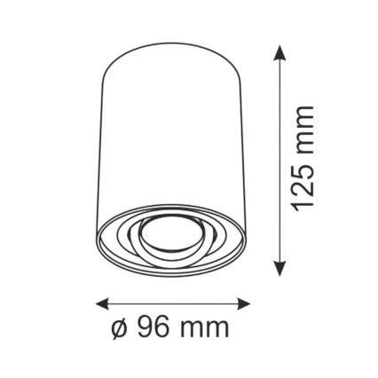 Kohtvalgusti HADAR R1 1xGU10/10W/230V must