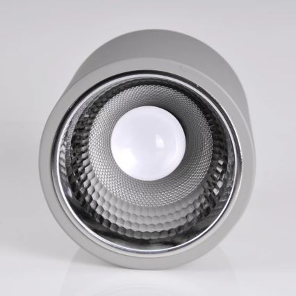Kohtvalgusti JUPITER 1xE27/20W/230V d. 16,5 cm hall