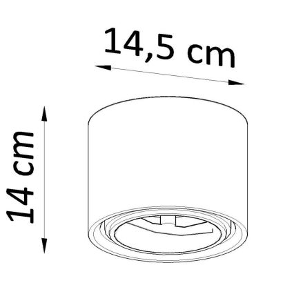 Kohtvalgusti KALU 1xGU10/40W/230V