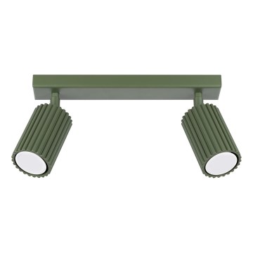 Kohtvalgusti KARBON 2xGU10/10W/230V roheline