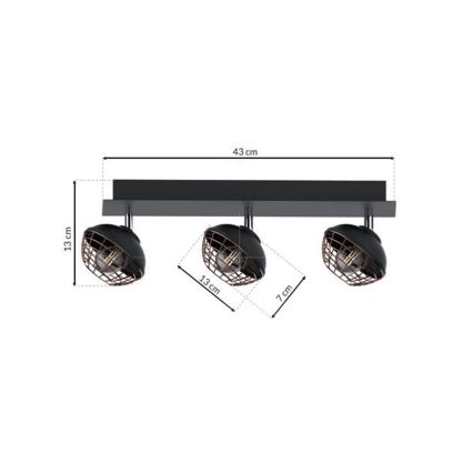 Kohtvalgusti LOGAN 3xE14/40W/230V