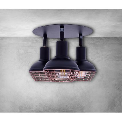 Kohtvalgusti LOGAN 3xE14/40W/230V