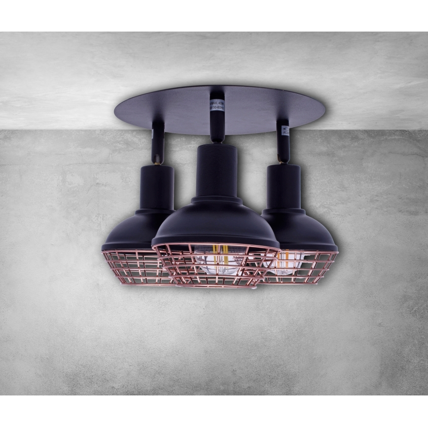 Kohtvalgusti LOGAN 3xE14/40W/230V