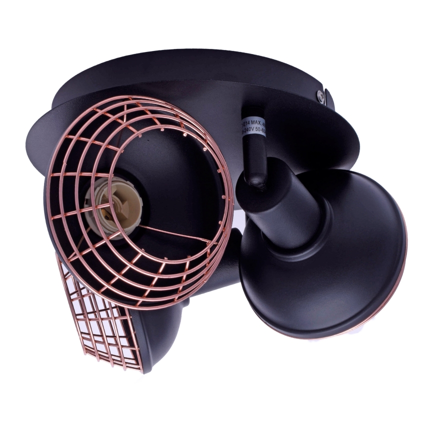 Kohtvalgusti LOGAN 3xE14/40W/230V
