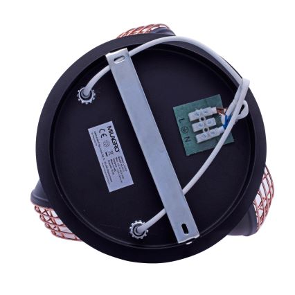 Kohtvalgusti LOGAN 3xE14/40W/230V