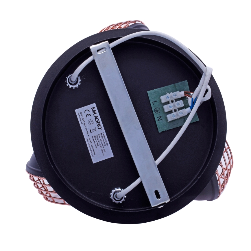 Kohtvalgusti LOGAN 3xE14/40W/230V