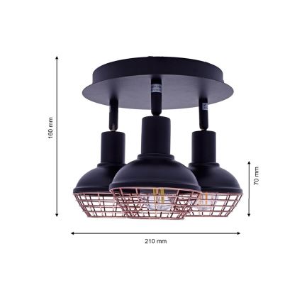 Kohtvalgusti LOGAN 3xE14/40W/230V