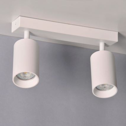 Kohtvalgusti MARIBEL 2xGU10/10W/230V valge