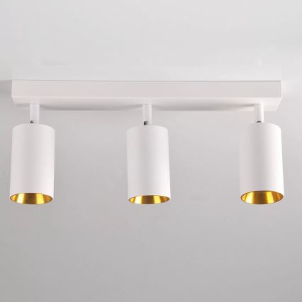 Kohtvalgusti MARIBEL 3xGU10/10W/230V valge