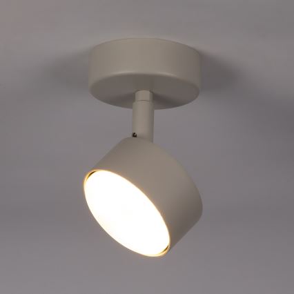 Kohtvalgusti NEMO 1xGX53/12W/230V beež