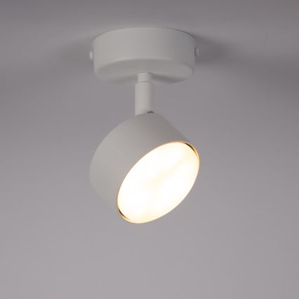 Kohtvalgusti NEMO 1xGX53/12W/230V valge