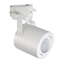 Kohtvalgusti NILSO rööbassüsteemile 1xGU10/30W/230V valge