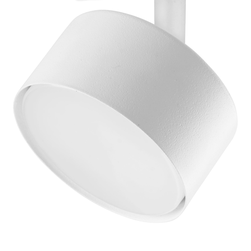Kohtvalgusti ühefaasilise rööbassüsteemi jaoks AVIA 1xGX53/15W/230V valge