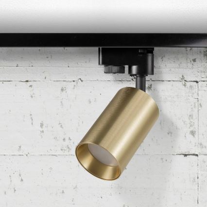 Kohtvalgusti rööbassüsteemile MARIBEL 3xGU10/10W/230V +1 m rööbassüsteem kuldne