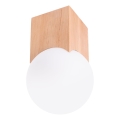 Kohtvalgusti SOLIS 1xG9/8W/230V pöök