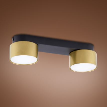 Kohtvalgusti SPACE GOLD 2xGX53/15W/230V