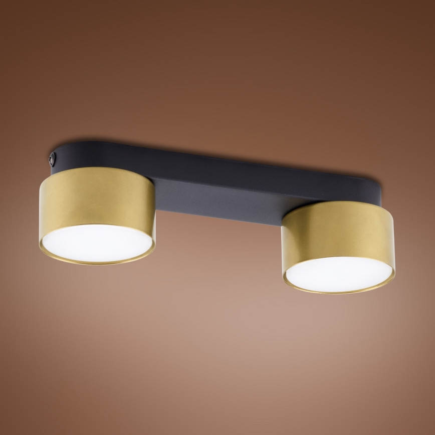 Kohtvalgusti SPACE GOLD 2xGX53/15W/230V