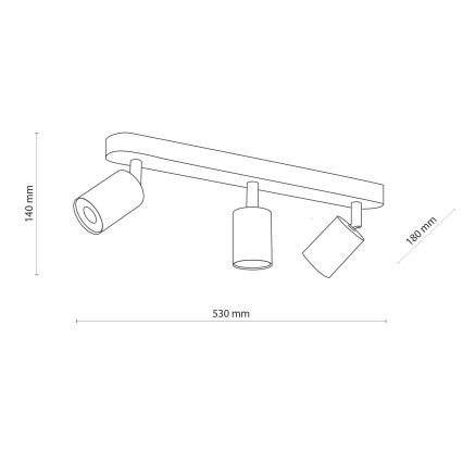 Kohtvalgusti TOP WOOD 3xGU10/10W/230V valge/puit