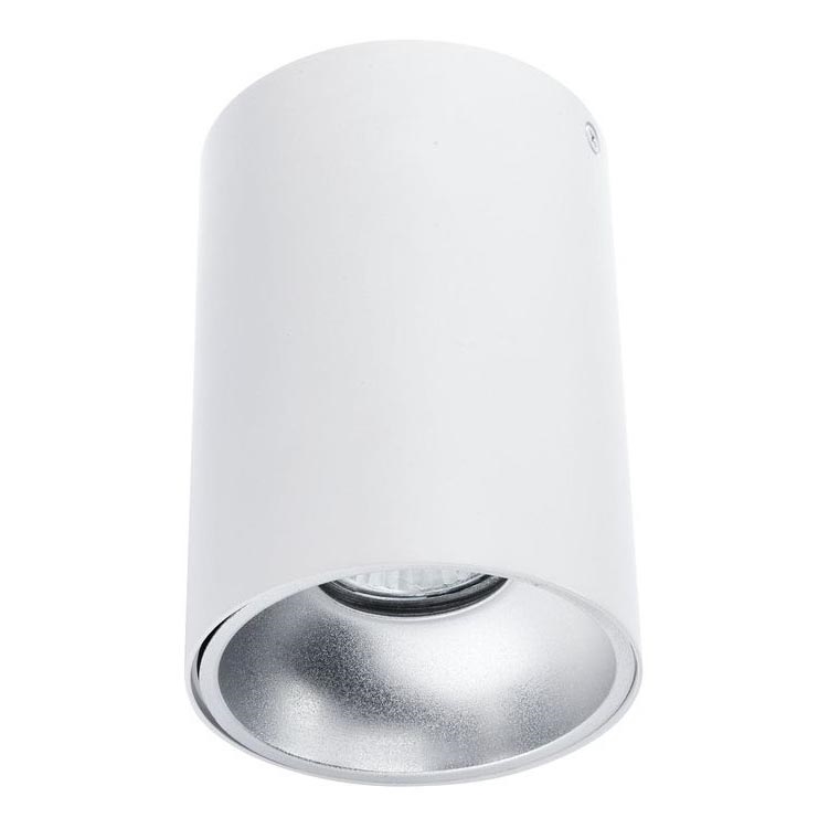 Kohtvalgusti TUBA 1xGU10/50W/230V valge