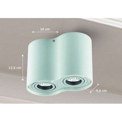Kohtvalgusti TUBA 1xGU10/50W/230V valge