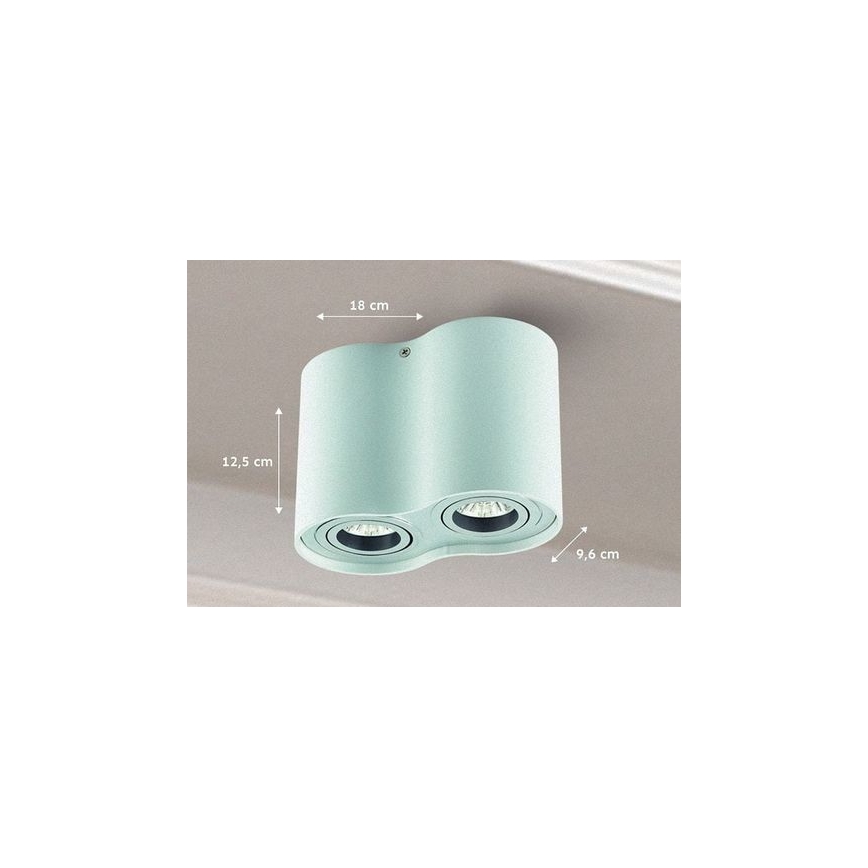 Kohtvalgusti TUBA 1xGU10/50W/230V valge