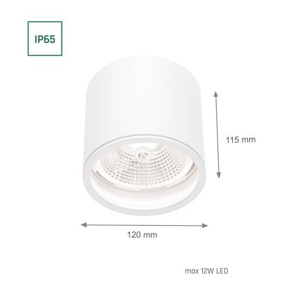 Kohtvalgusti vannituppa CHLOE AR111 1xGU10/12W/230V IP65 ümmargune valge