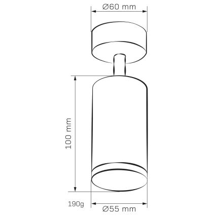 Kohtvalgusti vannituppa TURYN 1xGU10/10W/230V IP44 must