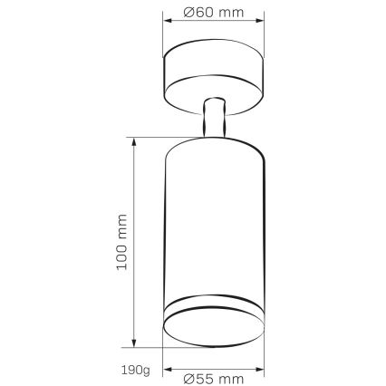 Kohtvalgusti vannituppa TURYN 1xGU10/10W/230V IP44 valge