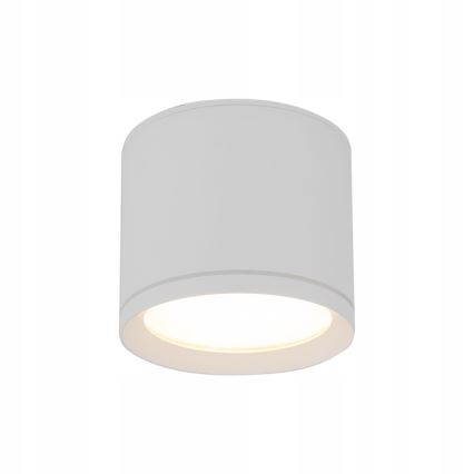Kohtvalgusti VIVO 1xGX53/10W/230V 10 cm valge