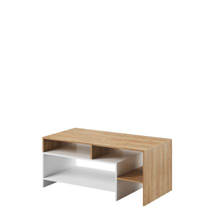 Kohvilaud ALVA 53x120 cm valge/tamm grande