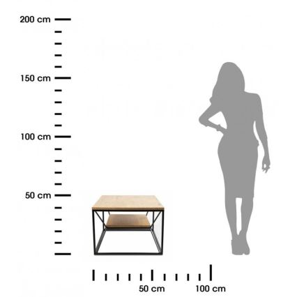 Kohvilaud BASICLOFT 40x80 cm must/pruun