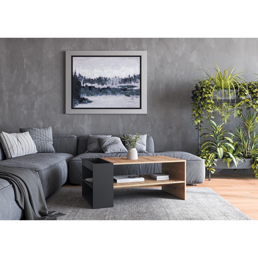 Kohvilaud BELA 100x42 cm artisan-tamm/antratsiit