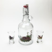 Komplekt 1x klaas bottle ja 2x shotiklaas läbipaistev